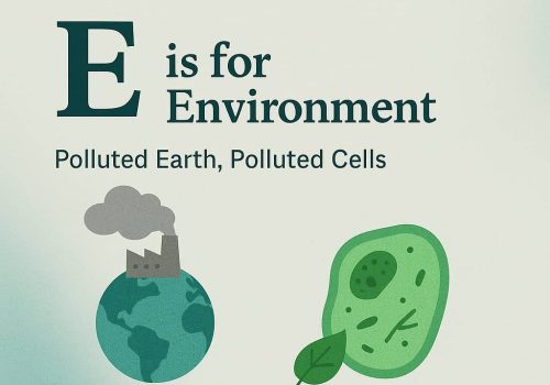E for environment
